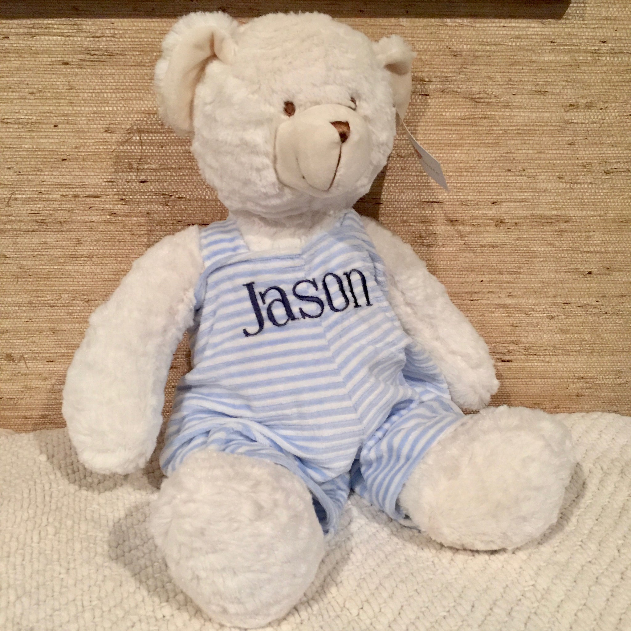 My Favorite Teddy Bear