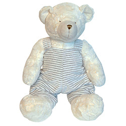 My Favorite Teddy Bear